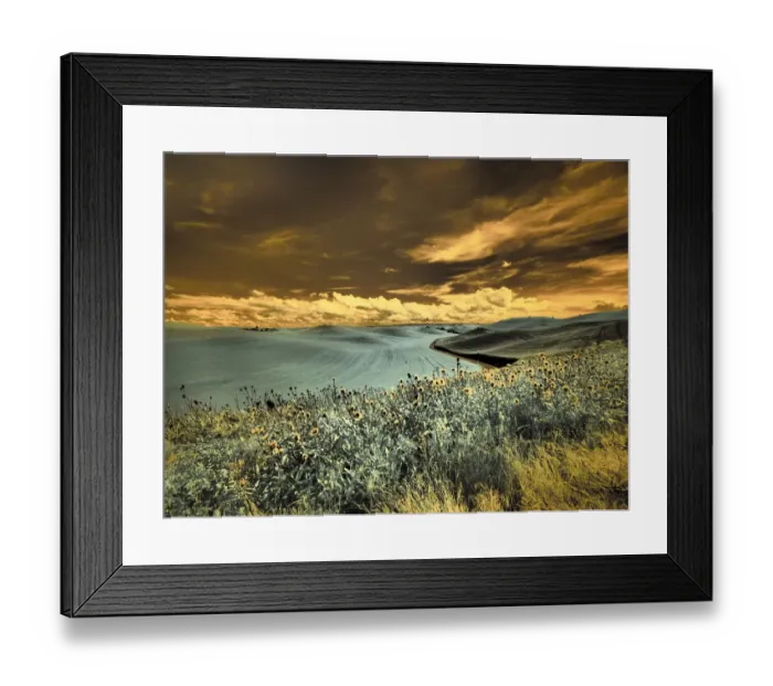 Framed Print : USA, Washington State, Palouse. Spring Poppies and Backcountry road through wheat field Framed Print : USA, Washington State, Palouse. Spring Poppies and Backcountry road through wheat field