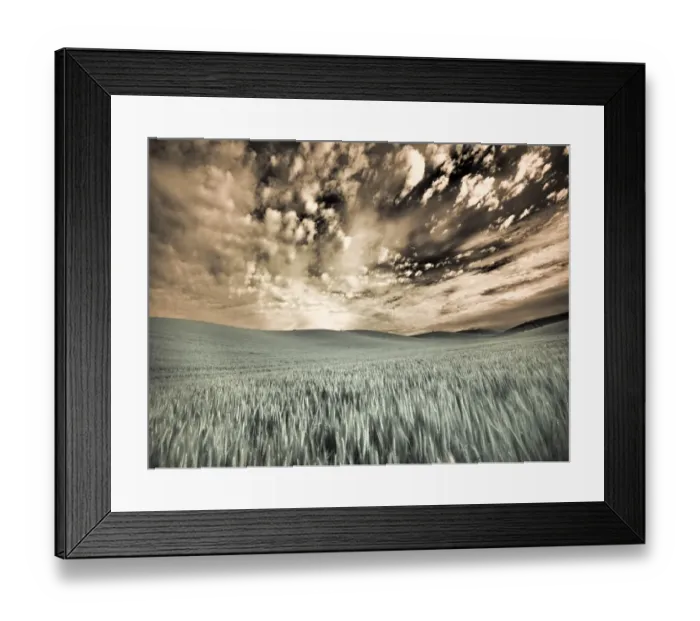 Framed Print : USA, Washington State, Palouse. wheat field and clouds