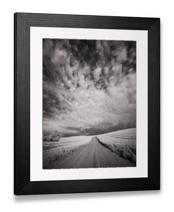 Framed Print : USA, Washington State, Palouse. Backcountry road through wheat field and clouds