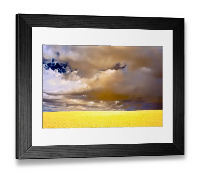 Framed Print : USA, Palouse abstract