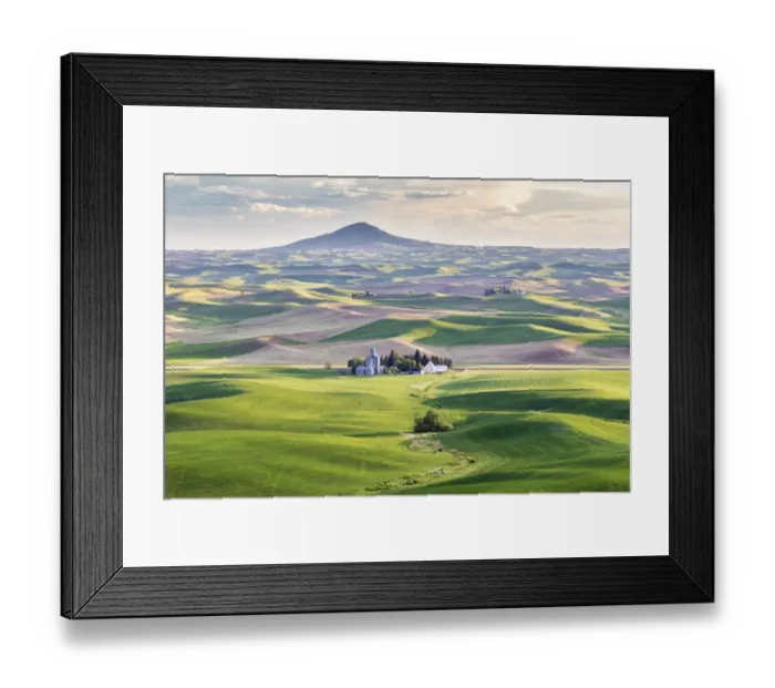 Framed Print : Farmington, Washington State, USA. Wheat farms in front of Steptoe Butte in the Palouse Framed Print : Farmington, Washington State, USA. Wheat farms in front of Steptoe Butte in the Palouse
