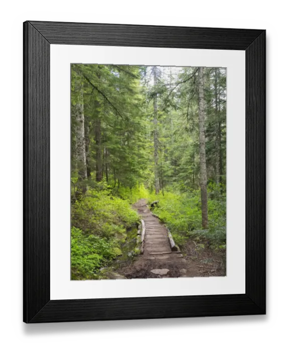 Framed Print : Washington State, Central Cascades, Trail to Pratt Ridge Framed Print : Washington State, Central Cascades, Trail to Pratt Ridge