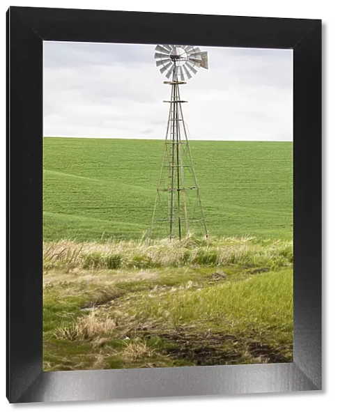 Palouse, Washington State, USA. Windmill in wheat field in the Palouse hills