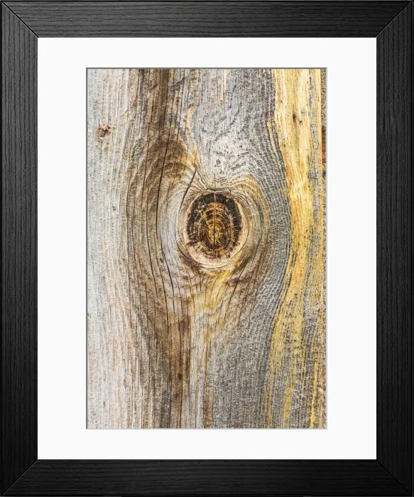 Framed Print : Latah, Washington State, USA. Knot in weathered wood on an old barn Framed Print : Latah, Washington State, USA. Knot in weathered wood on an old barn