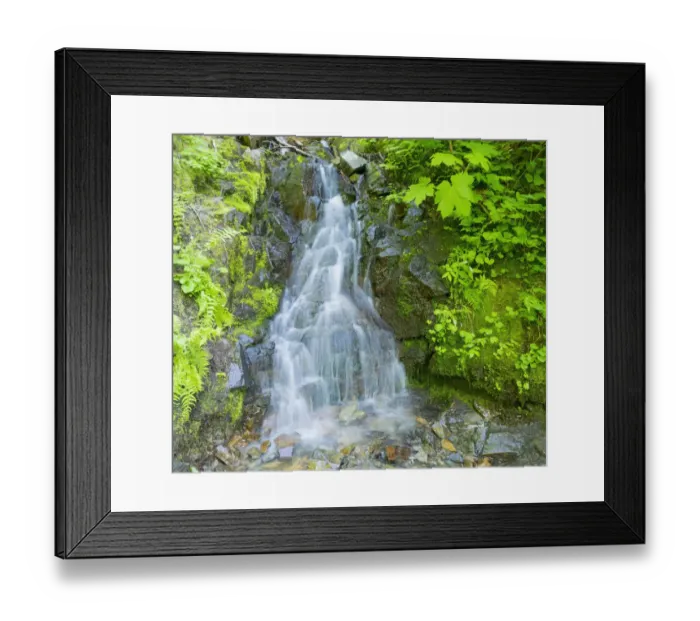Framed Print : Washington State, Central Cascades, Waterfall, on trail to Annette Lake Framed Print : Washington State, Central Cascades, Waterfall, on trail to Annette Lake