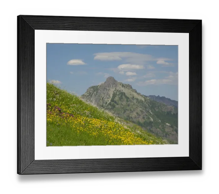 Framed Print : Washington State, Central Cascades, Rampart Ridge, Alta Mountain and wildflowers