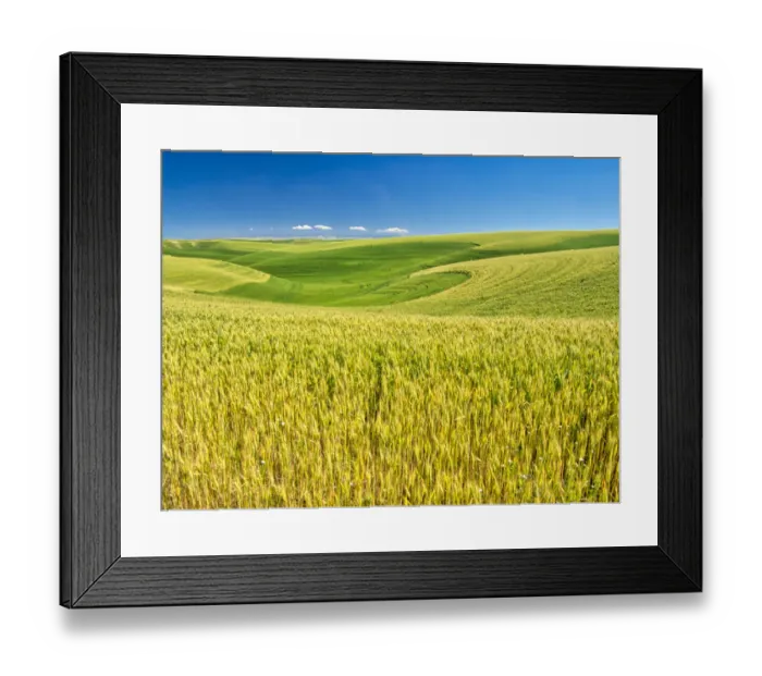 Framed Print : USA, Washington State, Palouse Region, Patterns in the fields of wheat Framed Print : USA, Washington State, Palouse Region, Patterns in the fields of wheat