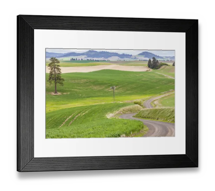 Framed Print : Palouse, Washington State, USA. Dirt road winding through wheat fields in the Palouse