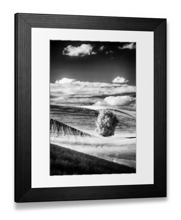 Framed Print : USA, Palouse Country, Washington State. Infrared Palouse fields and lone tree Framed Print : USA, Palouse Country, Washington State. Infrared Palouse fields and lone tree