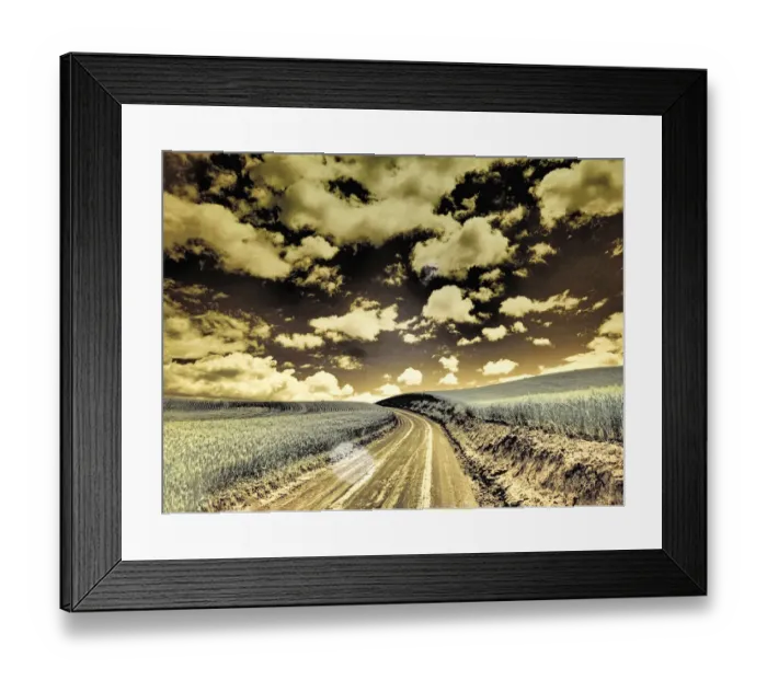 Framed Print : USA, Washington State, Palouse. Country backroad through spring crops