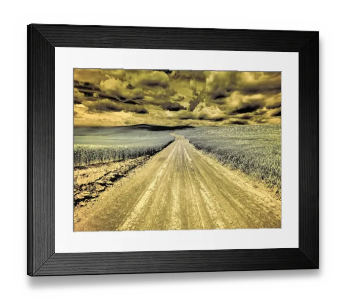 Framed Print : USA, Washington State, Palouse. Country backroad through spring crops Framed Print : USA, Washington State, Palouse. Country backroad through spring crops