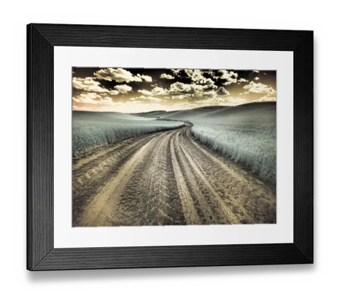 Framed Print : USA, Washington State, Palouse. Country backroad through spring crops Framed Print : USA, Washington State, Palouse. Country backroad through spring crops