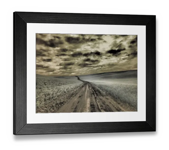 Framed Print : USA, Washington State, Palouse. Country backroad through spring crops Framed Print : USA, Washington State, Palouse. Country backroad through spring crops