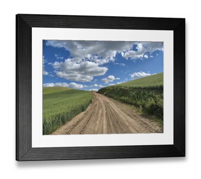 Framed Print : USA, Washington State, Palouse, Country Backroad through Spring wheat fields Framed Print : USA, Washington State, Palouse, Country Backroad through Spring wheat fields