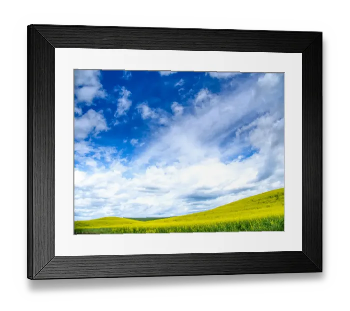 Framed Print : USA, Washington State, Palouse, Spring canola field with beautiful clouds Framed Print : USA, Washington State, Palouse, Spring canola field with beautiful clouds