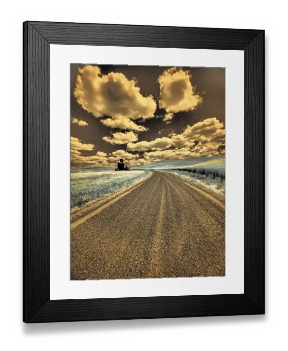 Framed Print : USA, Washington State, Palouse. Country backroad through spring crops Framed Print : USA, Washington State, Palouse. Country backroad through spring crops