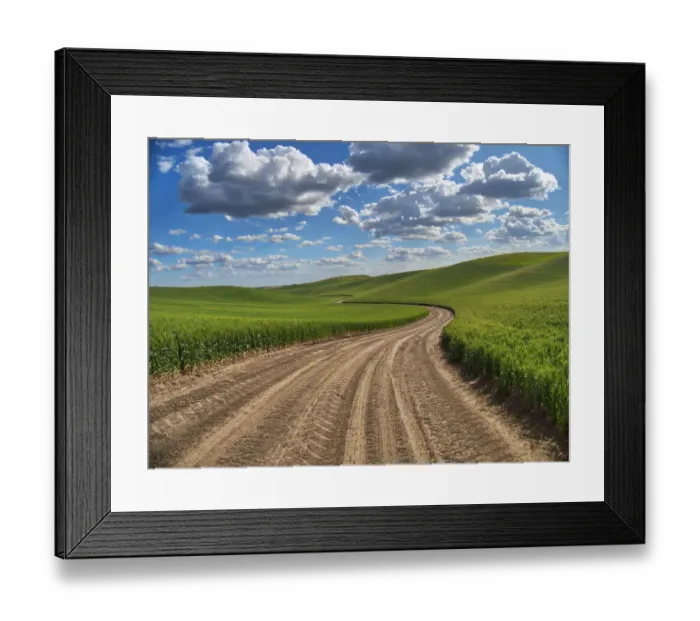 Framed Print : USA, Washington State, Palouse, Country Backroad through Spring wheat fields