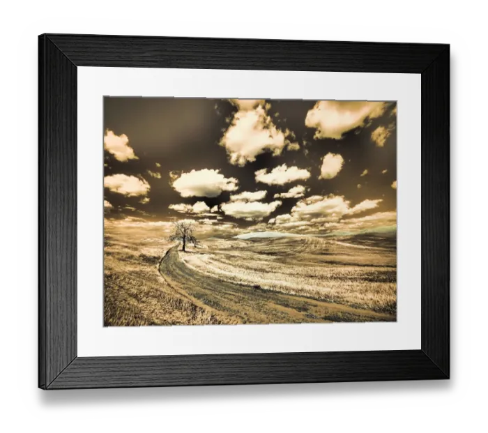 Framed Print : USA, Washington State, Palouse. Country backroad with lone tree
