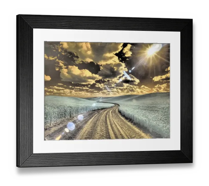 Framed Print : USA, Washington State, Palouse. Country backroad through spring crops