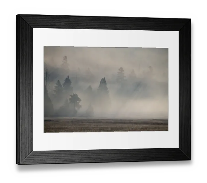 Framed Print : USA, Wyoming, Yellowstone National Park. Early morning fog with light rays through