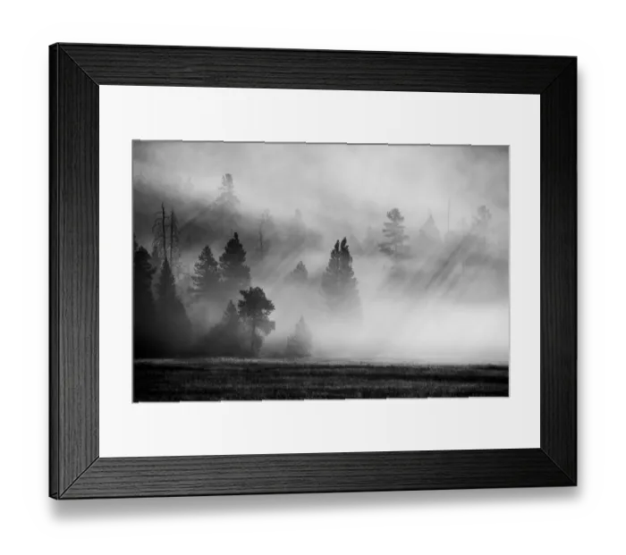 Framed Print : USA, Wyoming, Yellowstone National Park. Early morning fog with light rays through