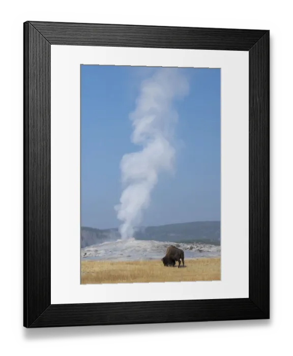 Framed Print : USA, Wyoming, Yellowstone National Park, Upper Geyser Basin Framed Print : USA, Wyoming, Yellowstone National Park, Upper Geyser Basin