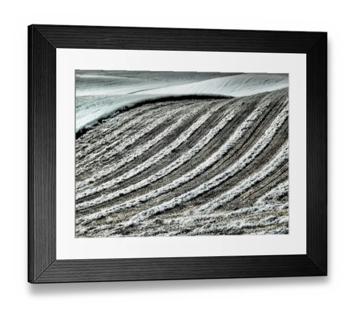 Framed Print : USA, Washington State, Palouse region, Harvest cut lines in Field Framed Print : USA, Washington State, Palouse region, Harvest cut lines in Field