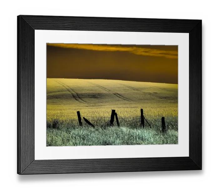 Framed Print : USA, Washington State, Palouse region, Fence and field of wheat Framed Print : USA, Washington State, Palouse region, Fence and field of wheat