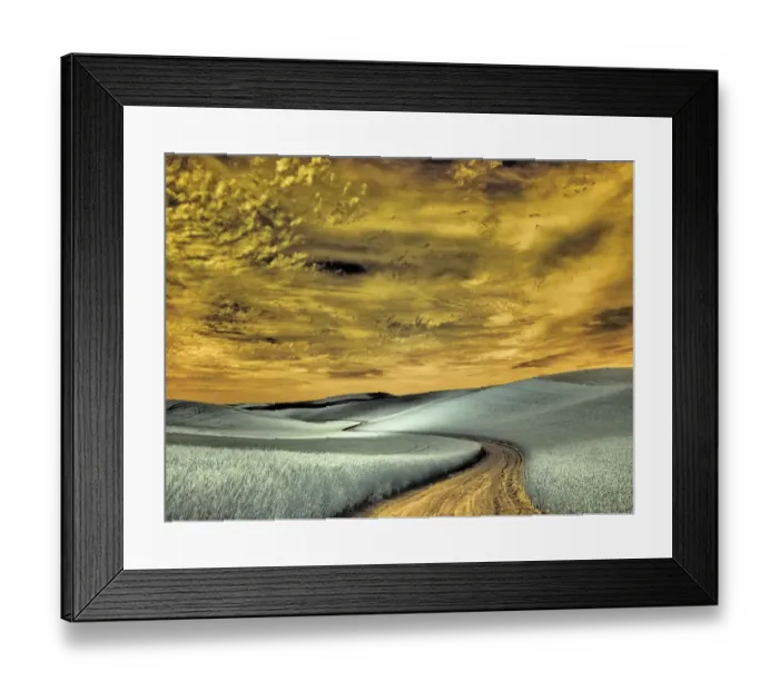 Framed Print : USA, Washington State, Palouse region, winding backcountry road through wheat fields