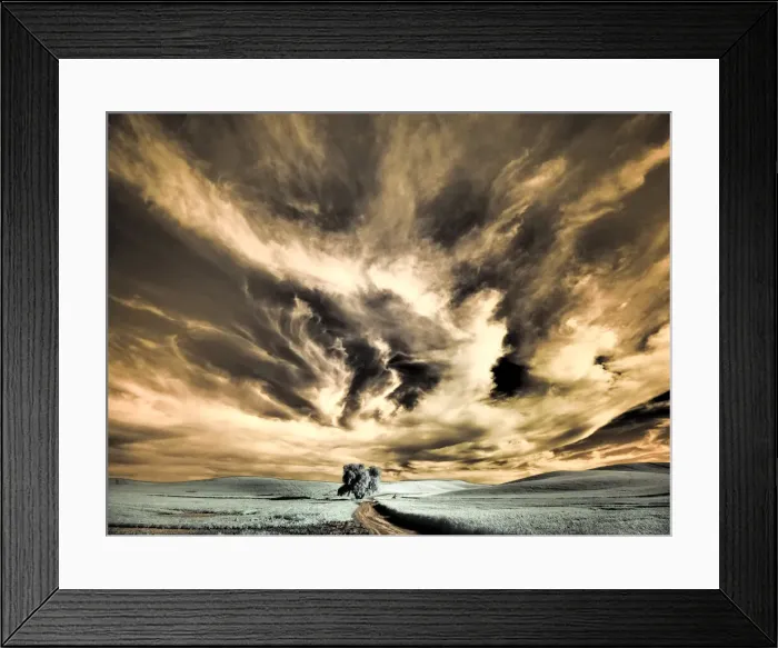 Framed Print : USA, Washington State, Palouse region, Backcountry road leading to Lone Tree