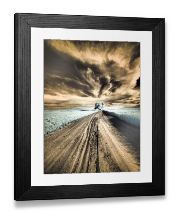 Framed Print : USA, Washington State, Palouse region, Backcountry road leading to Lone Tree Framed Print : USA, Washington State, Palouse region, Backcountry road leading to Lone Tree