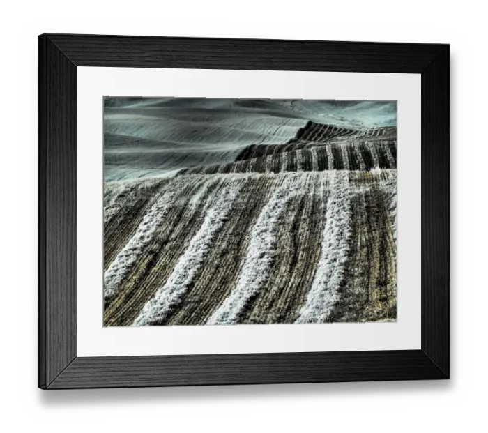 Framed Print : USA, Washington State, Palouse region, Harvest cut lines in Field Framed Print : USA, Washington State, Palouse region, Harvest cut lines in Field