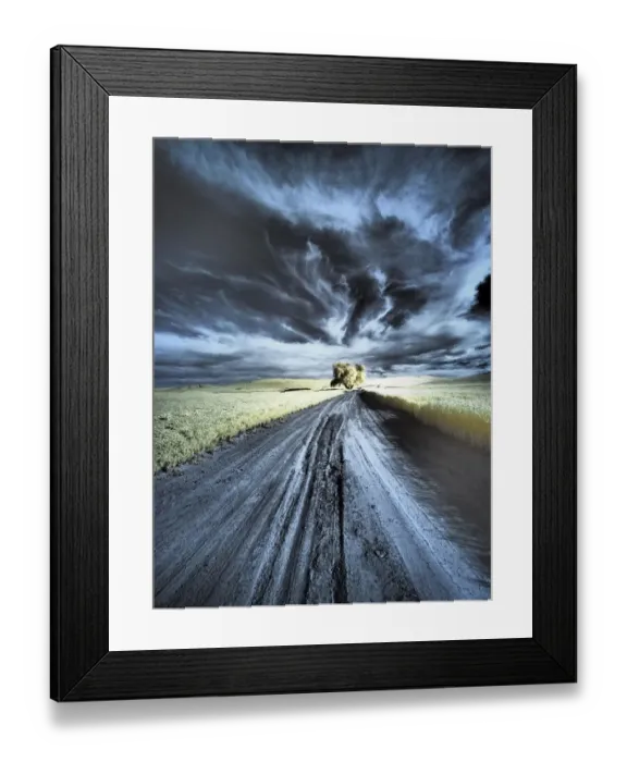 Framed Print : USA, Washington State, Palouse region, Backcountry road leading to Lone Tree Framed Print : USA, Washington State, Palouse region, Backcountry road leading to Lone Tree