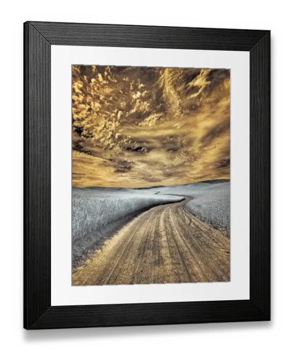 Framed Print : USA, Washington State, Palouse region, winding backcountry road through wheat fields