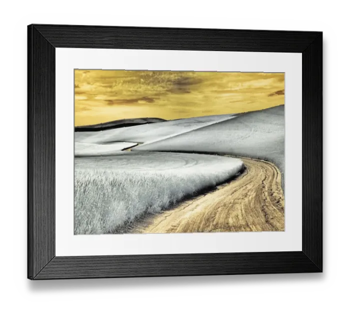 Framed Print : USA, Washington State, Palouse region, winding backcountry road through wheat fields Framed Print : USA, Washington State, Palouse region, winding backcountry road through wheat fields