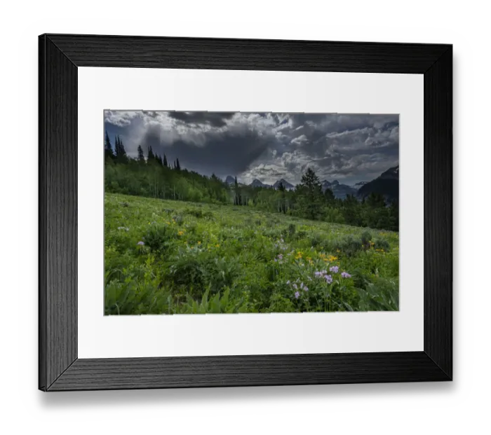 Framed Print : USA, Wyoming. Dramatic clouds and wildflowers in meadow west side of Teton Mountains Framed Print : USA, Wyoming. Dramatic clouds and wildflowers in meadow west side of Teton Mountains