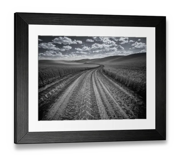 Framed Print : USA, Washington State, Palouse. Country backroad through spring crops Framed Print : USA, Washington State, Palouse. Country backroad through spring crops