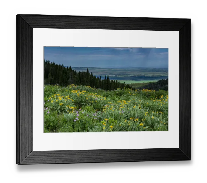 Framed Print : USA, Wyoming. Wildflowers and view of Teton Valley, Idaho, summer