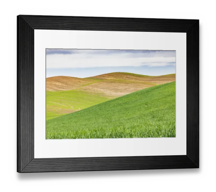 Framed Print : Pullman, Washington State, USA. Rolling wheat fields in the Palouse hills Framed Print : Pullman, Washington State, USA. Rolling wheat fields in the Palouse hills