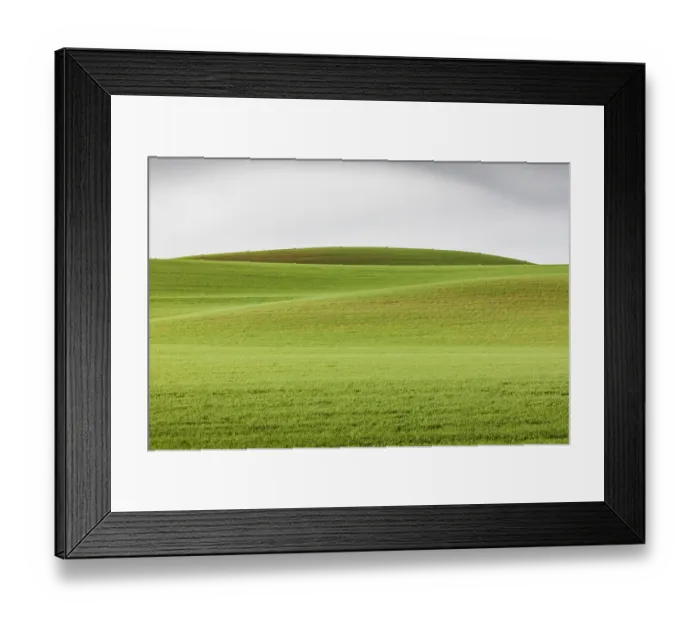 Framed Print : Steptoe, Washington State, USA. Wheat fields in the rolling Palouse hills of Washington