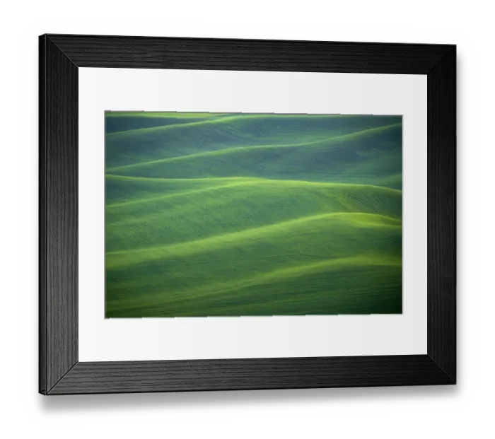 Framed Print : USA, Washington, Palouse. Rolling spring wheat fields Framed Print : USA, Washington, Palouse. Rolling spring wheat fields
