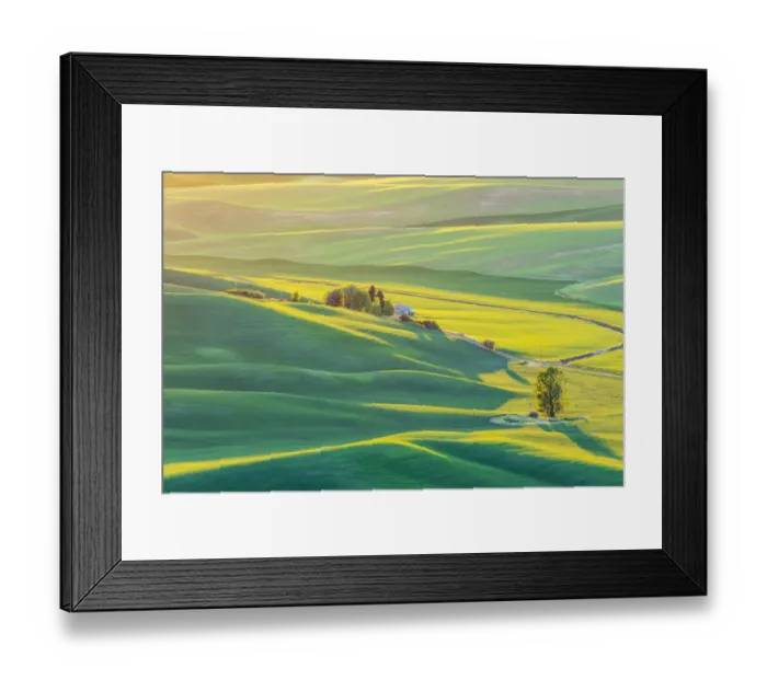 Framed Print : Steptoe Butte State Park, Washington State, USA. Sunset view of wheat fields in Framed Print : Steptoe Butte State Park, Washington State, USA. Sunset view of wheat fields in