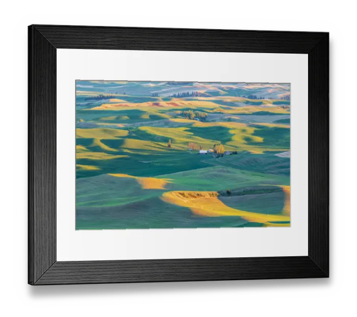 Framed Print : Steptoe Butte State Park, Washington State, USA. Sunset view of wheat farms in Framed Print : Steptoe Butte State Park, Washington State, USA. Sunset view of wheat farms in