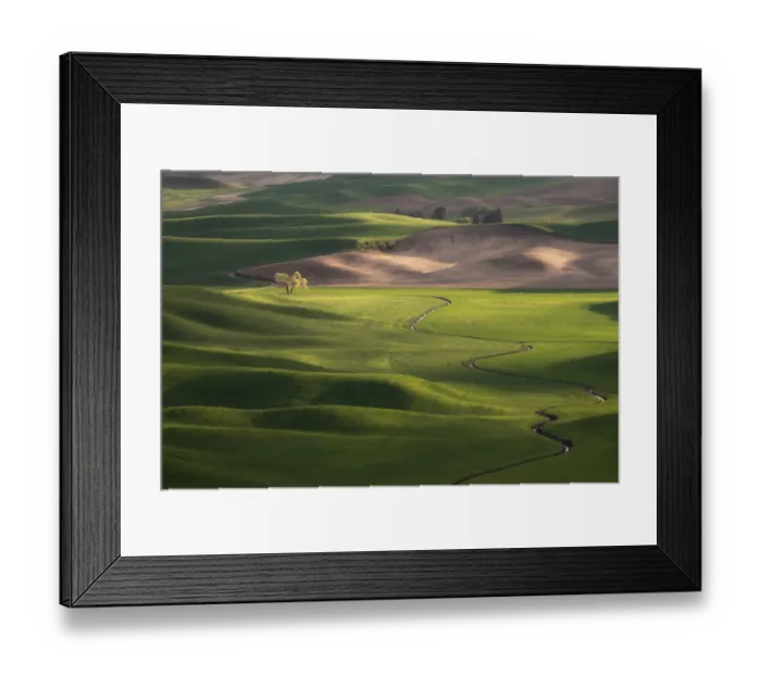 Framed Print : USA, Washington, Palouse. Rolling spring wheat fields Framed Print : USA, Washington, Palouse. Rolling spring wheat fields