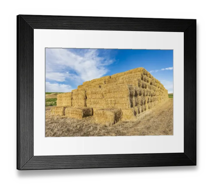 Framed Print : Pullman, Washington State, USA. Stack of hay bales in the Palouse hills Framed Print : Pullman, Washington State, USA. Stack of hay bales in the Palouse hills