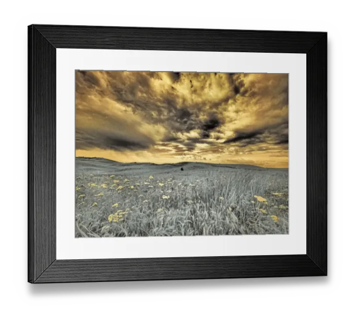 Framed Print : USA, Washington State, Palouse. Spring Poppies and wheat field and clouds