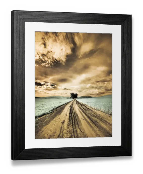 Framed Print : USA, Washington State, Palouse. Backcountry road through wheat field with lone tree Framed Print : USA, Washington State, Palouse. Backcountry road through wheat field with lone tree
