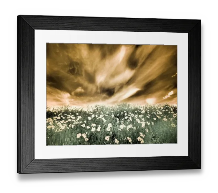 Framed Print : USA, Washington State, Palouse. Spring Poppies and Backcountry road through wheat field Framed Print : USA, Washington State, Palouse. Spring Poppies and Backcountry road through wheat field