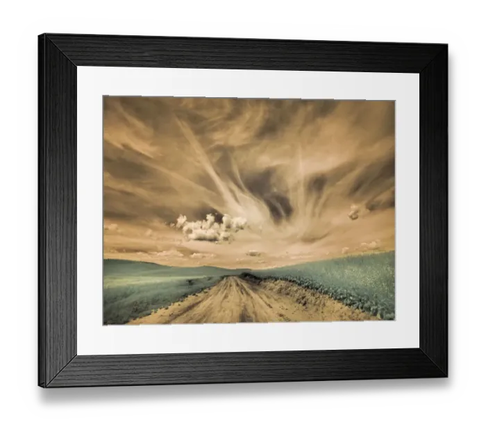 Framed Print : USA, Washington State, Palouse. Backcountry road through canola field and clouds