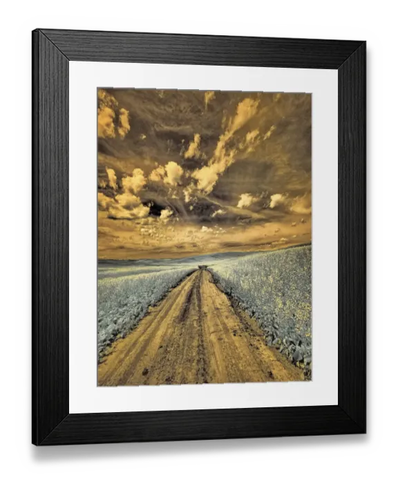 Framed Print : USA, Washington State, Palouse. Backcountry road through canola field and clouds Framed Print : USA, Washington State, Palouse. Backcountry road through canola field and clouds